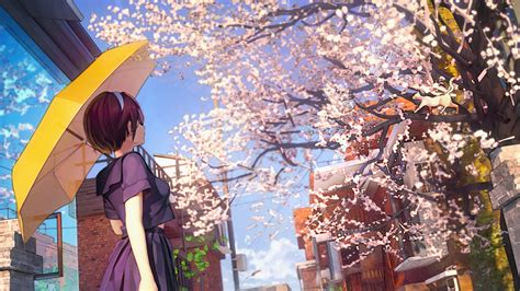 Rana Buzy Cherry Blossom Tree Anime Anime Cherry Blossoms S