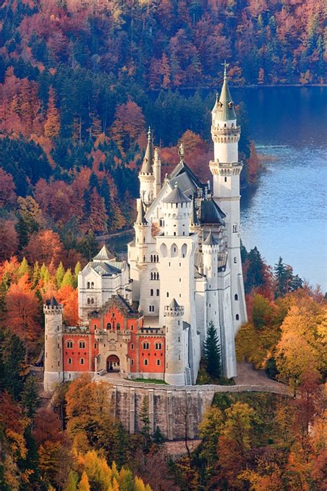 Neuschwanstein Castle In Autumn Colours Germany