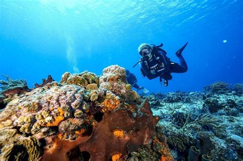 Cozumel Scuba Diving From Cancun A Ha Scuba Diving
