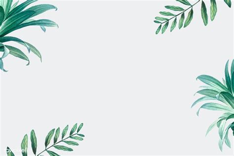 Hand Drawn Tropical Leaves On A White Background Vector Premium Image