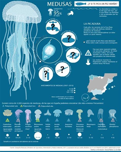 Las Picaduras De Las Medusas Infografia Infographic Health