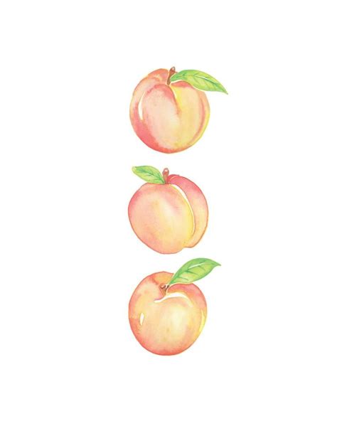 Peaches Watercolor Printable Art Print Instant Digital Etsy Peach