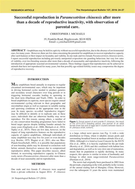 Pdf Successful Reproduction In Paramesotriton Chinensis After More