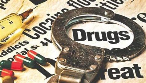 Ncb Busts International Drug Syndicate Arrests Two Persons India News