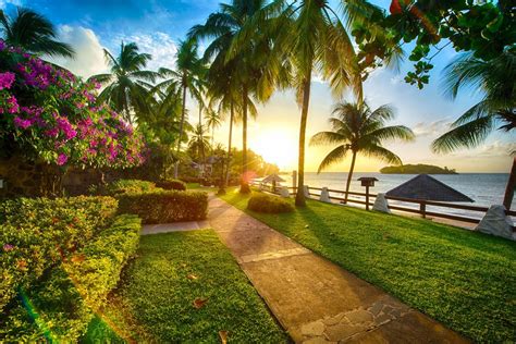 Wallpaper Sunlight Sunset Sea Flowers Garden Nature