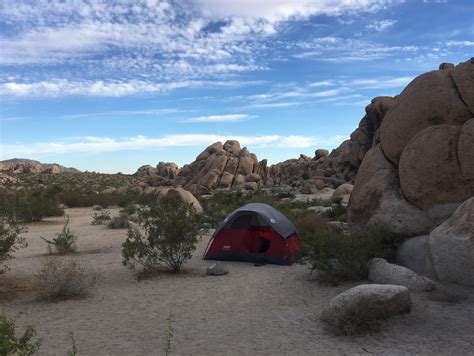 My Campsite At Joshua Tree National Park Camping