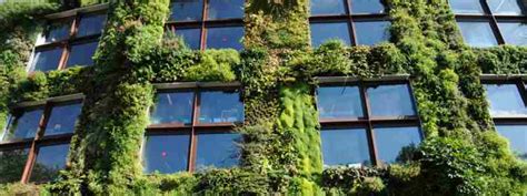 Artificial Green Walls Fake Living Walls By The Experts Foliages