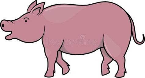 Pink Pig Walking Cartoon Color Illustration Stock Vector Illustration