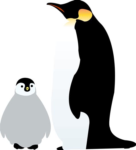 Emperor Penguin Antarctica Illustration Image Emperor Penguin Chick