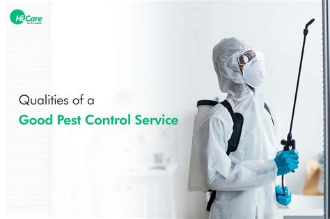 5 Tips For Finding And Selecting Best Pest Control Service
