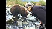 Timothy Treadwell Photography (Grizzly Man) - Unreleased Video - YouTube