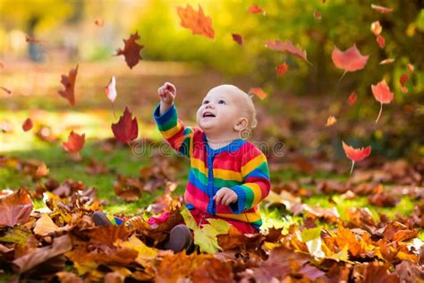 Child In Fall Park Kid With Autumn Leaves Stock Image Image Of Cute