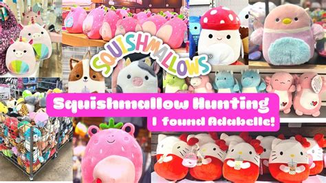 Squishmallow Hunting Video I Found Adabelle The Strawberry Frog