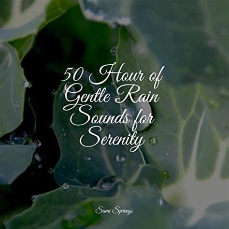 Amazon Music Unlimited Rain Sounds Sleep Ambient Arena And Lullabies For Deep Meditation 『50