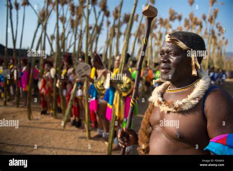 Ludzidzini Swasiland Afrika Die Swazi Umhlanga Oder Reed Dance Zeremonie 100000