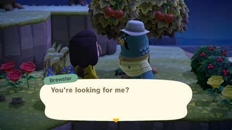 How To Find Brewster In Animal Crossing New Horizons Siliconera