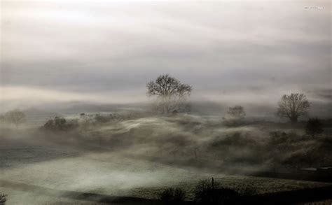 Foggy Field In The Morning Hd Wallpaper Foggy Trees Foggy Field Foggy