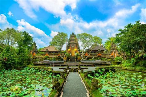 Ubud Bali Mengungkap Keindahan Tradisional Dan Alami Di Tengah Hingar Bingar Kehidupan Modern