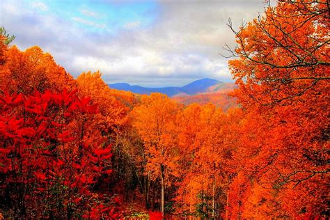 Blue Ridge Mountains Ridge Autumn Blue Mountain Forest Color Hd