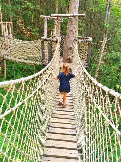 Rope Canopy Bridges On Opposite Other Side Of Prosperity Bridge At