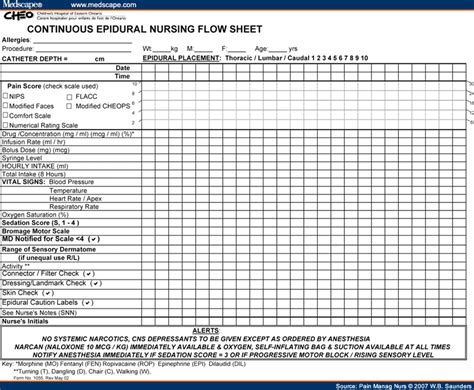 Nursing Adl Flow Sheet