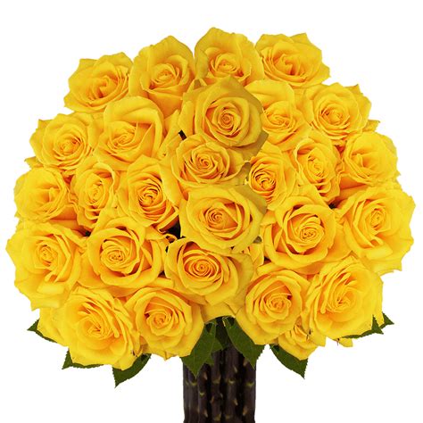 75 X Long Stem Assorted Yellow Roses Beautiful Fresh Cut Flowers