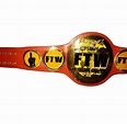 FTW World Heavy Weight Championship Wrestling Belt Adult Size