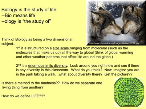 Biology Is The Study Of Life Bio Means Life