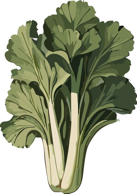 Culinary Artistry Exploring the Beauty of Healthy Vegetable Imagery AI