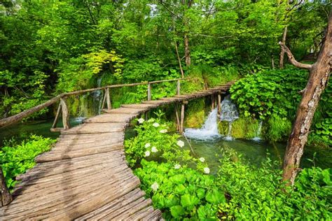 From Zagreb Plitvice Lakes And Rastoke Private Tour Getyourguide