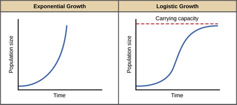 Environmental Limits To Population Growth Biology For Majors Ii