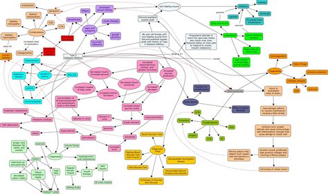 Pathophysiology Of Diabetes Type 2 Concept Map Diabeteswalls
