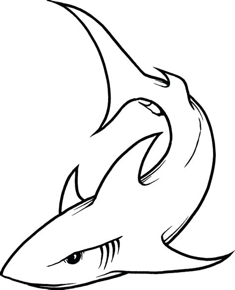Shark Drawing Template At Explore Collection Of