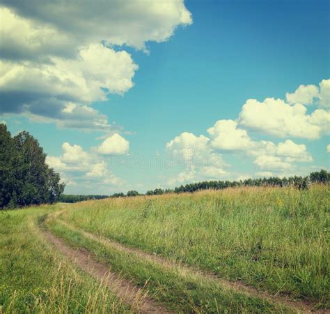 Country Landscape Dirt Road In The Forest Glade Sunny Summer Day