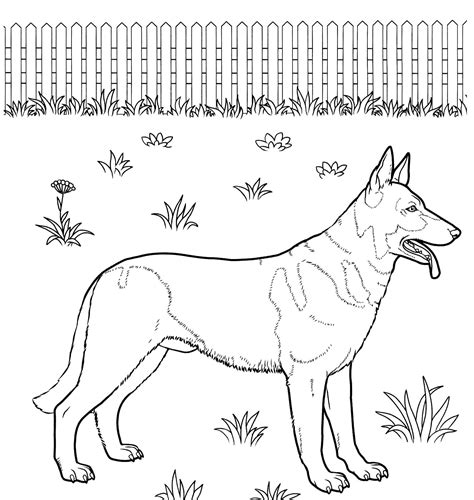 German Shepherd Coloring Pages - Dog Coloring Pages - Coloring Pages