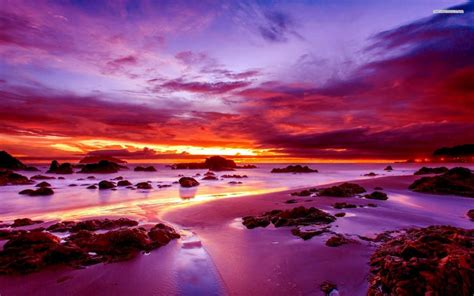 Purple Sunset On Rocky Beach Wallpaper Nature And