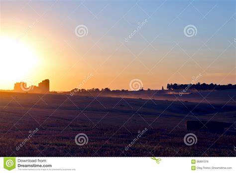 Juicy Wheat Field In Bright Sunlight Stock Photo Image Of Barley