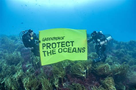 Protect The Oceans Greenpeace Africa