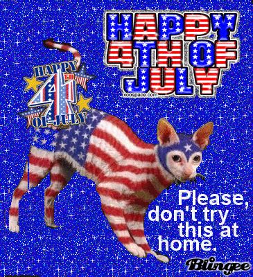 To add a touch of perfection to the us independence day 2021 celebration, here is a blingy collection of happy 4th of july 2021 memes , funny fourth of july memes for facebook, happy 4th of july gif 2021, and glittering fourth of july. 4th of July funny Picture #62648821 | Blingee.com