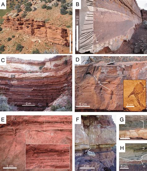 Outcrop Sedimentary Structures And Trace Fossils Of The Upper Platy