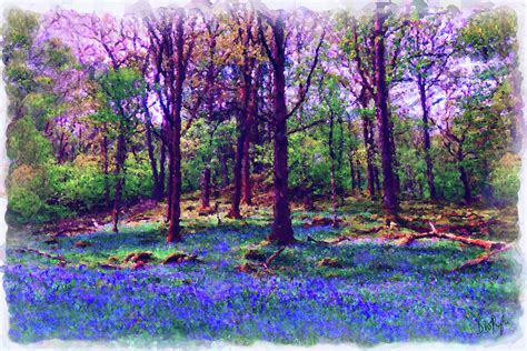Spring Bluebell Woods Digital Art By David Pryke