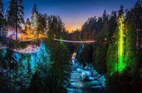 Canyon Lights At Capilano Suspension Bridge Returns In 2021 Vancouver