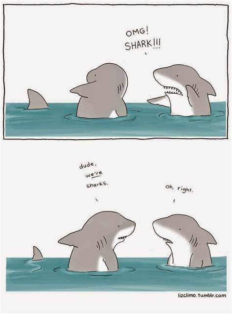 Shark Cartoons ~ Funny Joke Pictures