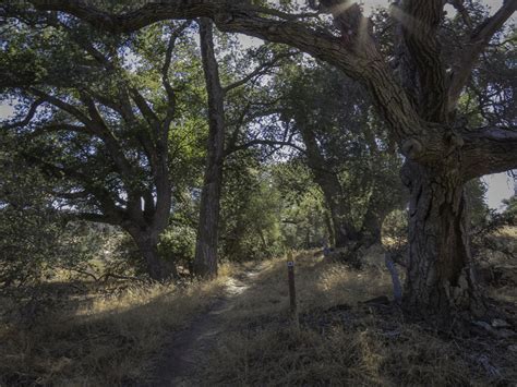 Check spelling or type a new query. Eagle Rock Hike - I Hike San Diego
