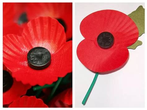 Why Scottish Remembrance Day Poppy Is Different From Rest Of The Uk Daily Record