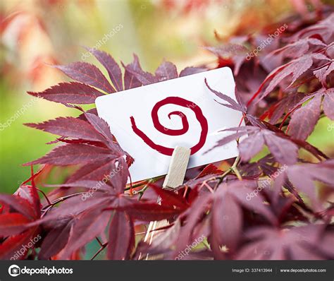 More images for arrière plan rose clair » Rose Rouge Avec Une Feuille Arrière Plan — Photographie ...