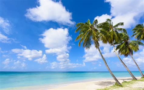 Barbados Beach Stock Photos Pictures And Royalty Free Images Istock