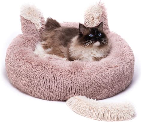 Lemtrflo Cat Beds For Indoor Cats 236236 Large Cat