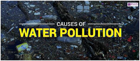 Water Pollution Definition Causes Effects Solutions