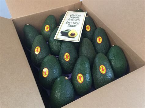 Hawaii Sharwil Avocados Arrive Soon To Pacific Northwest The Packer